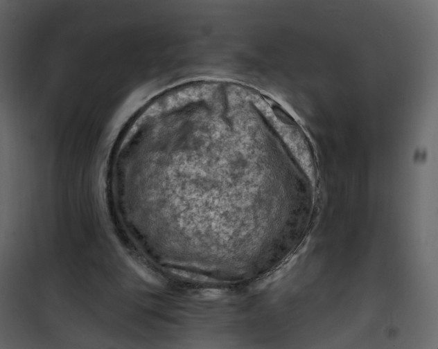 X0000101090151200807171856