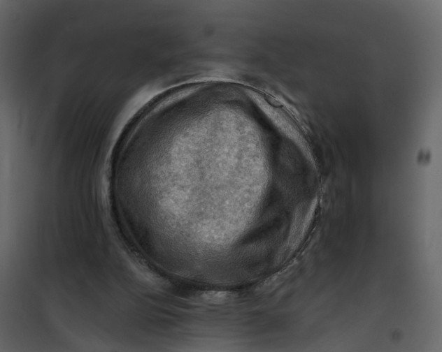 X0000101090152200807171856