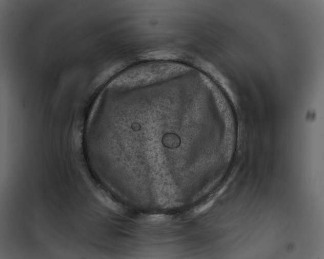 X0000101090153200807171856