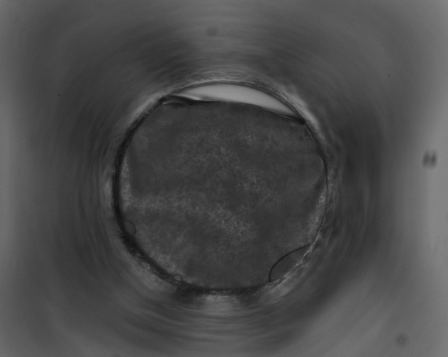 X0000101090154200807171856