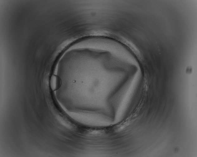 X0000101090155200807171856