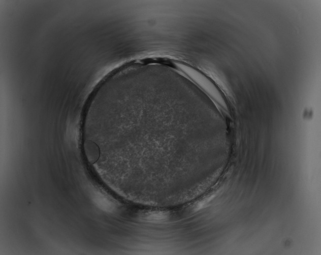 X0000101090156200807171856