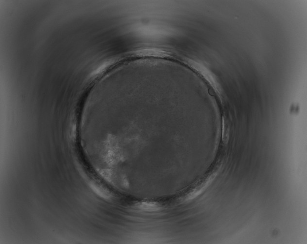 X0000101090157200807171856