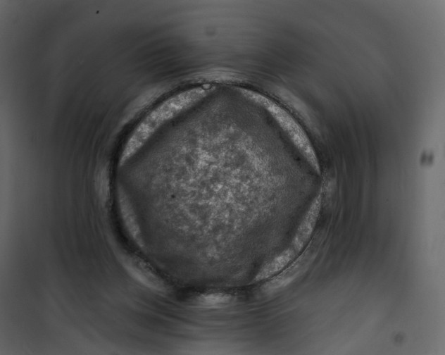 X0000101090158200807171856