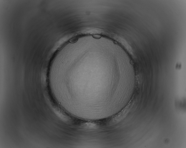 X0000101090159200807171856