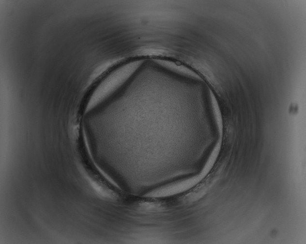 X0000101090160200807171856