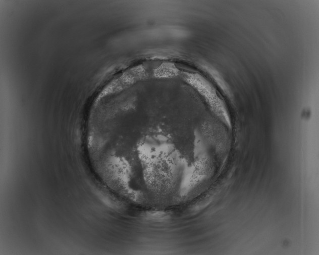 X0000101090161200807171856