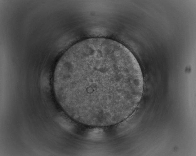 X0000101090162200807171856