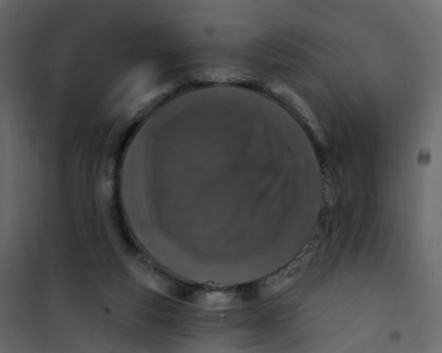 X0000101090163200807171856