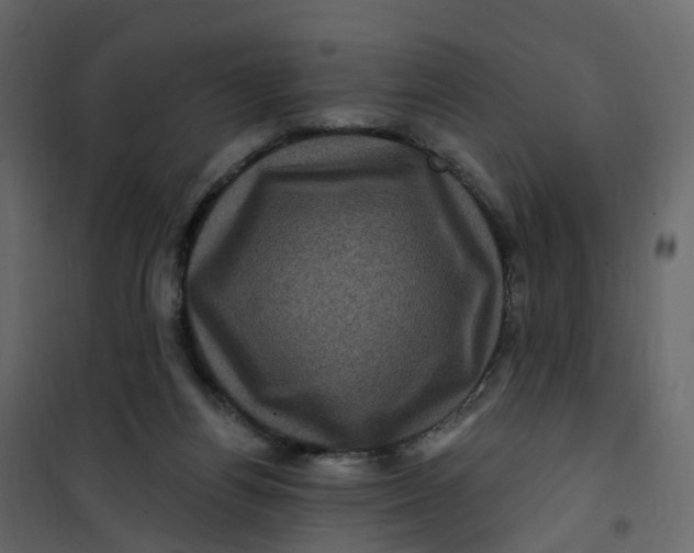 X0000101090164200807171856