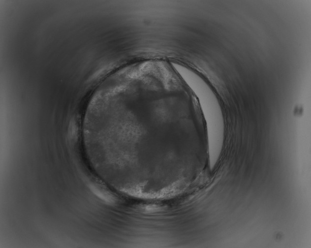 X0000101090165200807171856