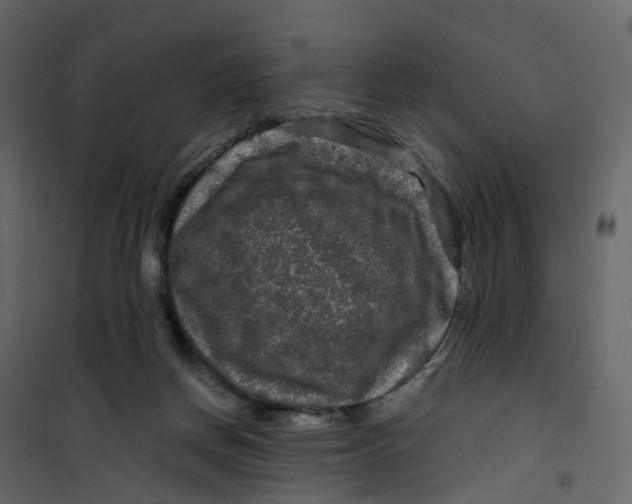 X0000101090166200807171856