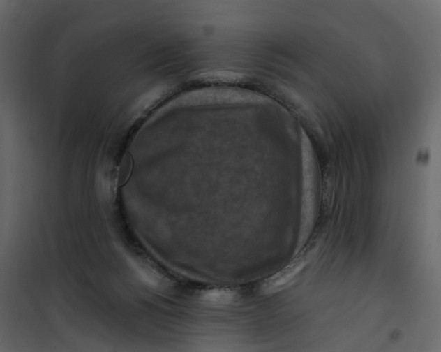 X0000101090168200807171856