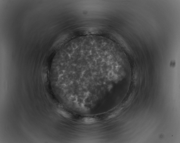 X0000101090169200807171856