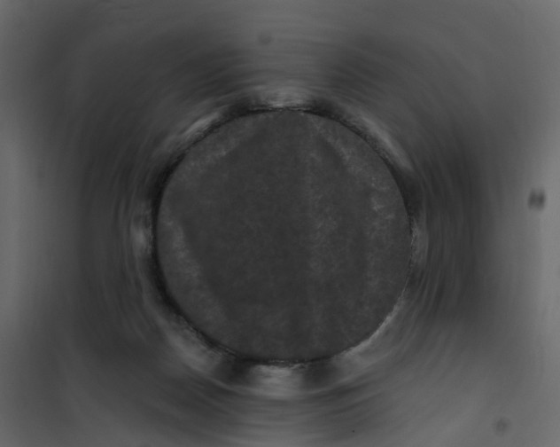 X0000101090170200807171856