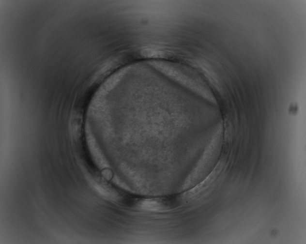 X0000101090171200807171856