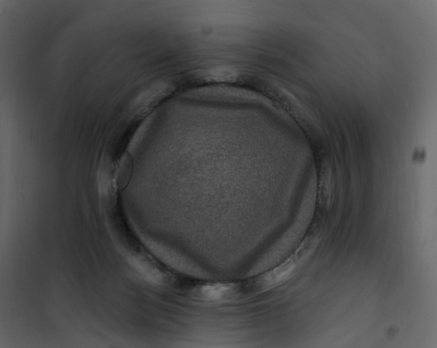 X0000101090172200807171856