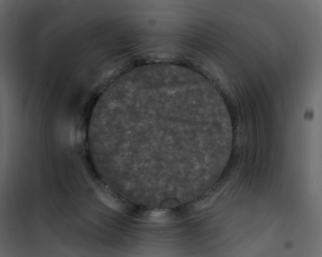 X0000101090173200807171856