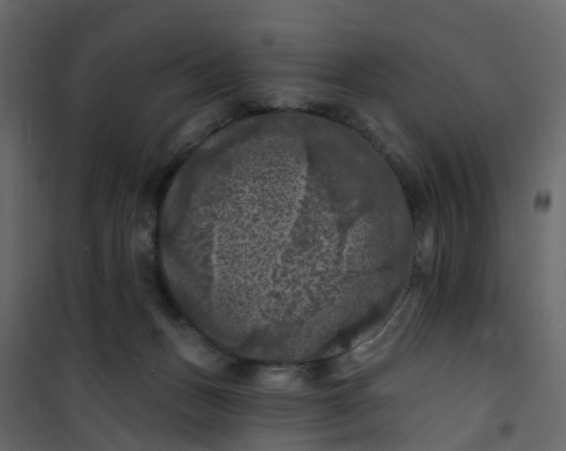 X0000101090175200807171856