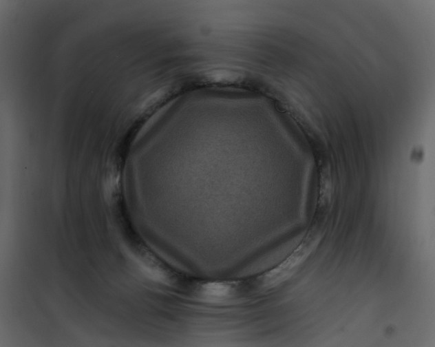 X0000101090176200807171856