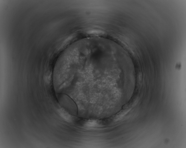 X0000101090177200807171856