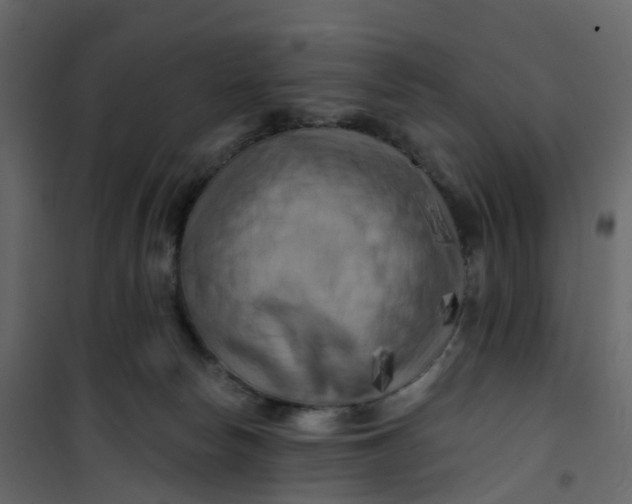 X0000101090178200807171856