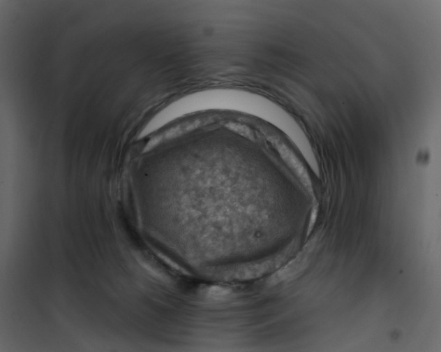 X0000101090180200807171856