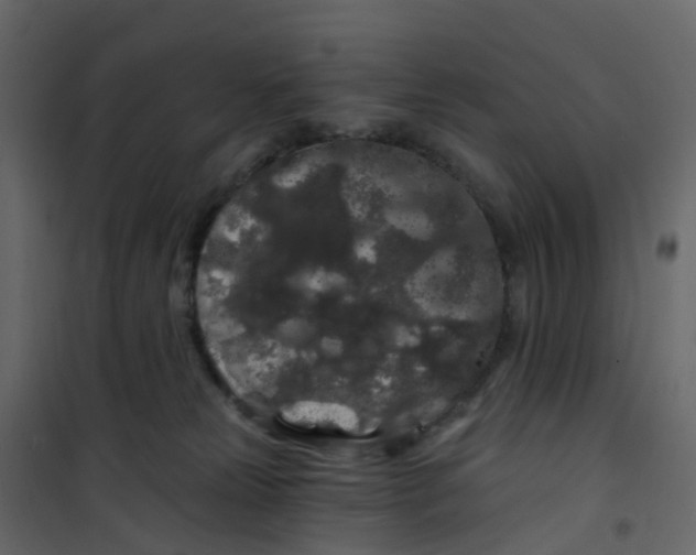 X0000101090181200807171856