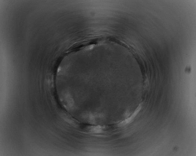 X0000101090182200807171856