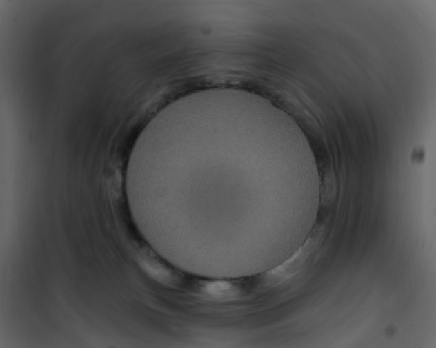 X0000101090183200807171856