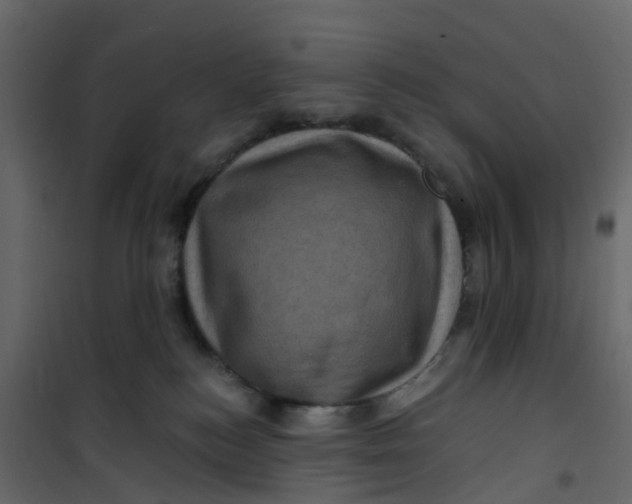 X0000101090184200807171857