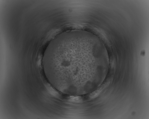 X0000101090185200807171857