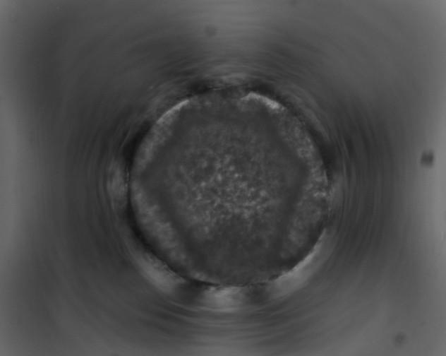 X0000101090186200807171857