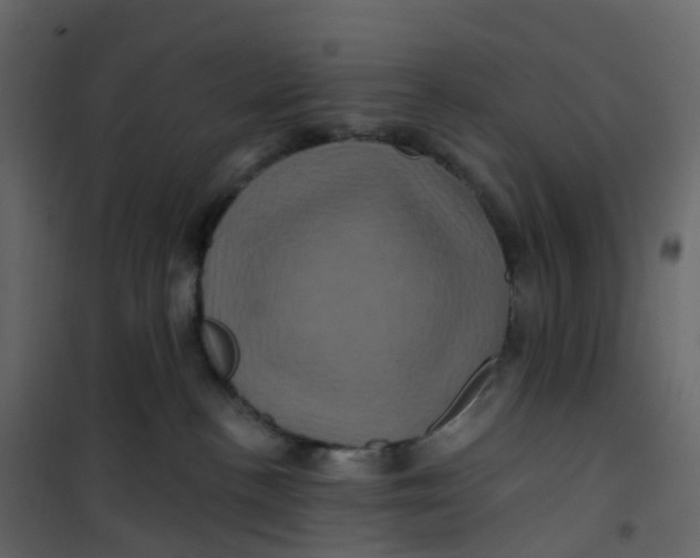 X0000101090188200807171857