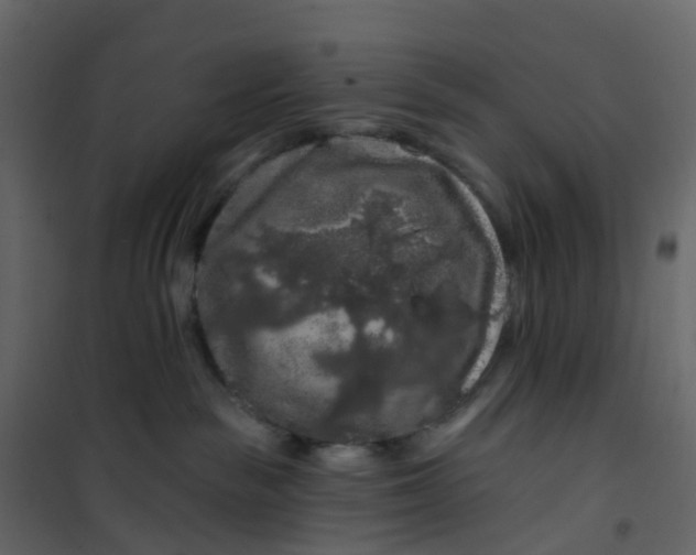 X0000101090189200807171857