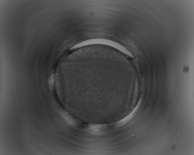 X0000101090190200807171857