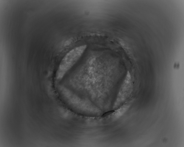 X0000101090192200807171857