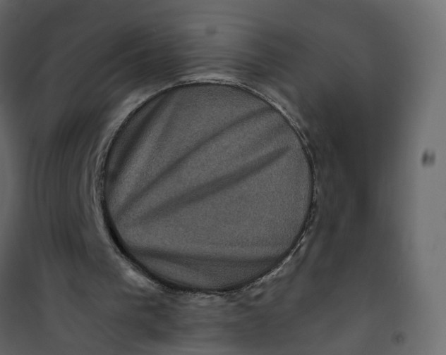 X0000101090193200807171856