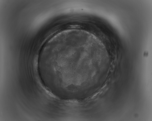 X0000101090194200807171856