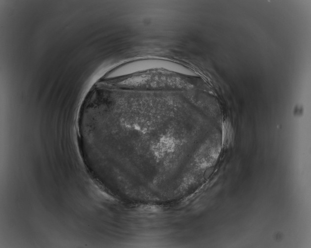 X0000101090195200807171856