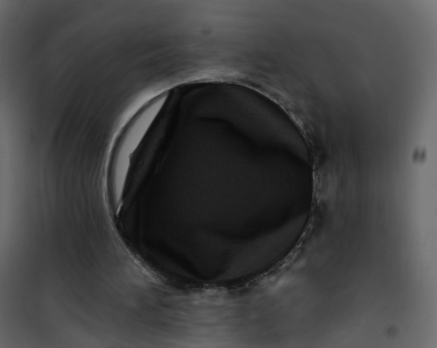 X0000101090196200807171856