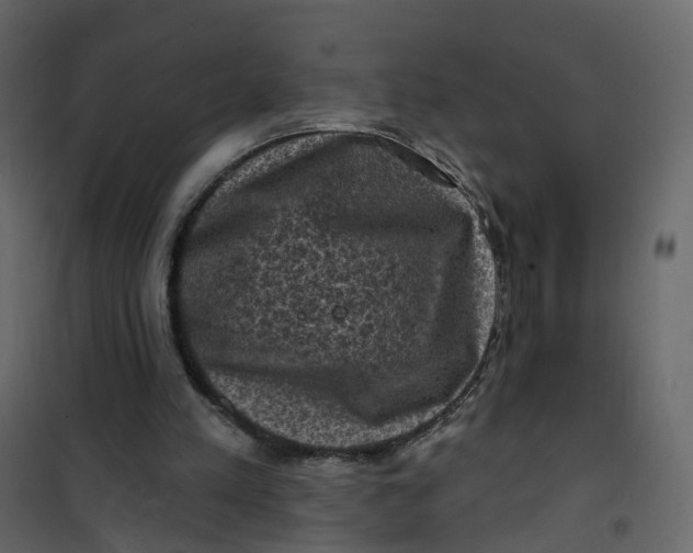 X0000101090197200807171856