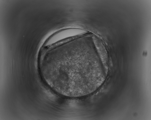 X0000101090200200807171856