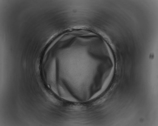 X0000101090201200807171856