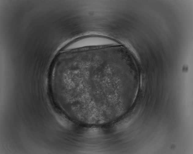 X0000101090204200807171856