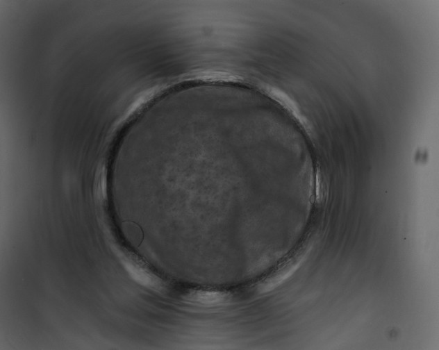 X0000101090205200807171856