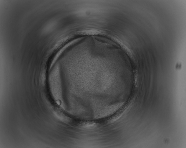 X0000101090206200807171856