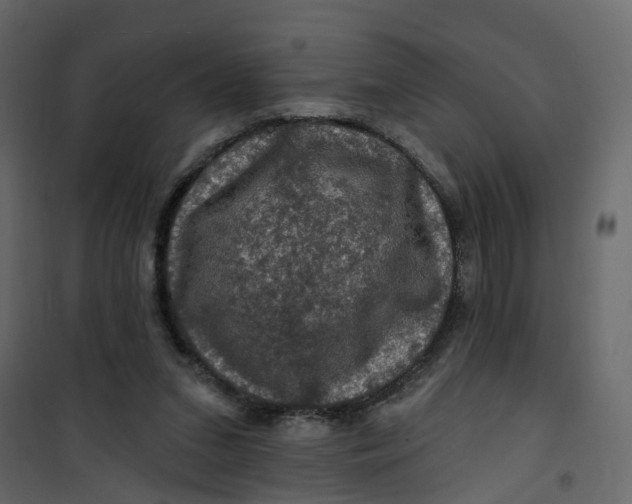 X0000101090207200807171856