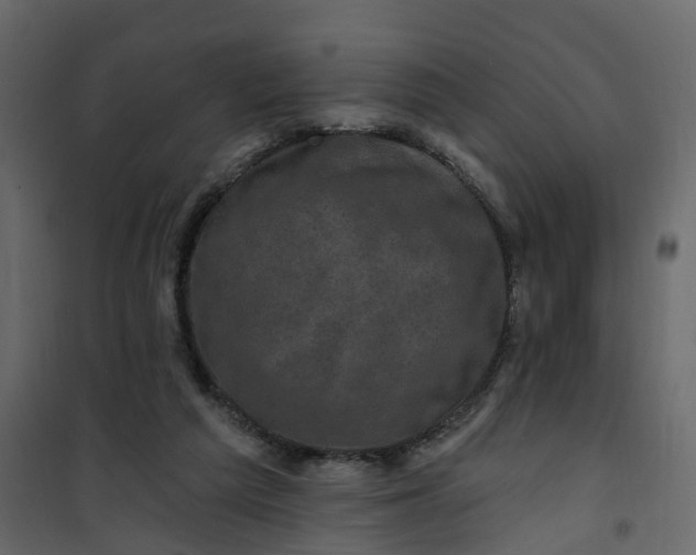 X0000101090209200807171856