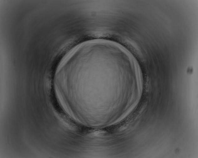 X0000101090210200807171856